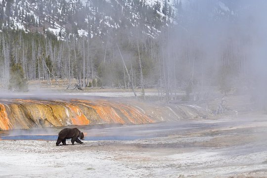Tour image 8